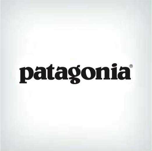  Patagonia Logo