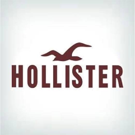  Hollister Logo