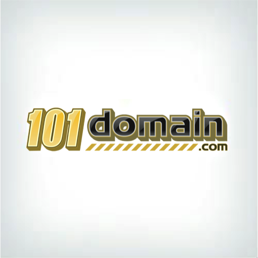  101 Domain Logo