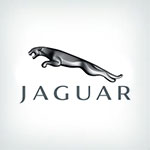  Jaguar Logo