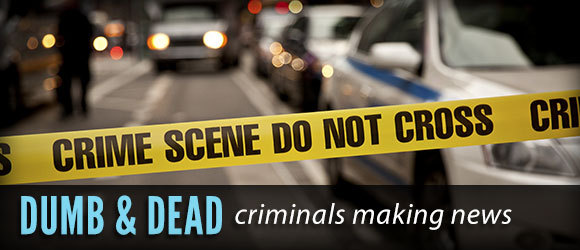 dumb and dead criminals