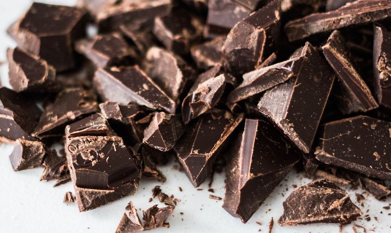 chocolate is harmful to dogs