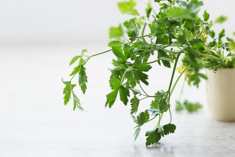 kitchen herbs