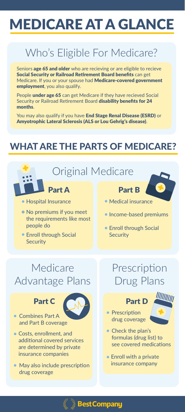 Medicare Overview Infographic