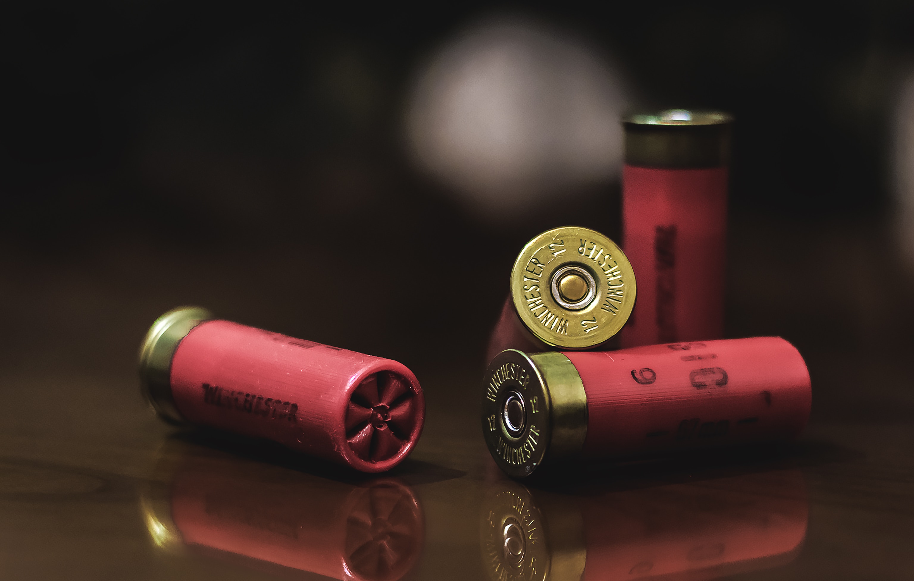Shotgun Ammunition