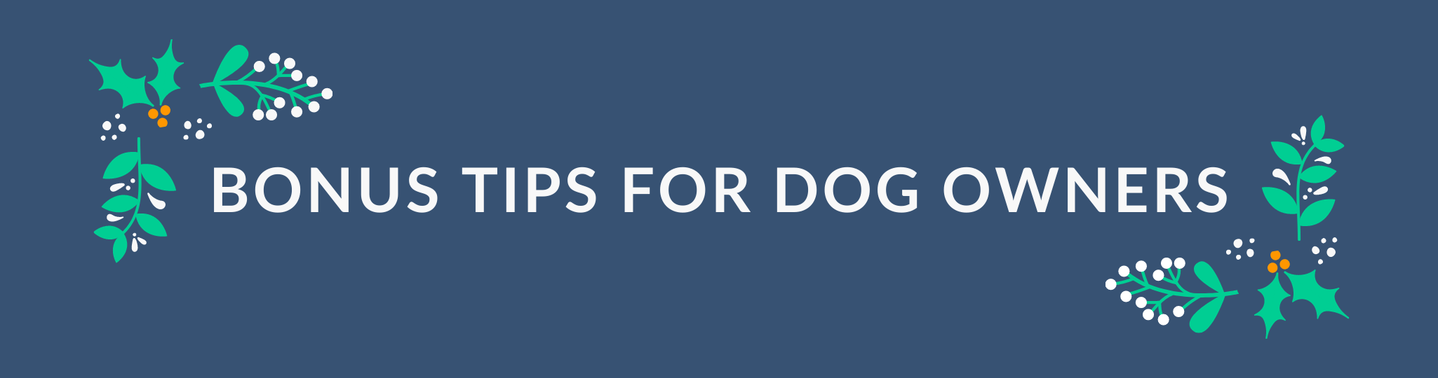 Bonus tips for dog owners banner