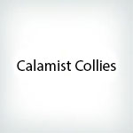 Calamist Collies Logo