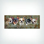 Natelsong Chihuahuas Logo