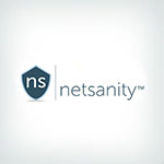 Netsanity Logo