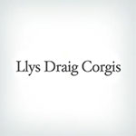 Llys Draig Corgis Logo