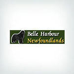 Belle Harbour Newfoundlands Logo