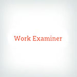 Work Examiner Logo
