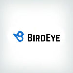 BirdEye Logo