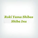 Roki Yama Shibas Logo