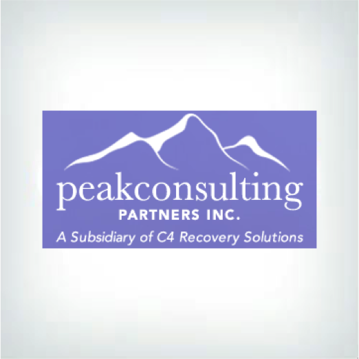 Peak Consulting Partners Logo