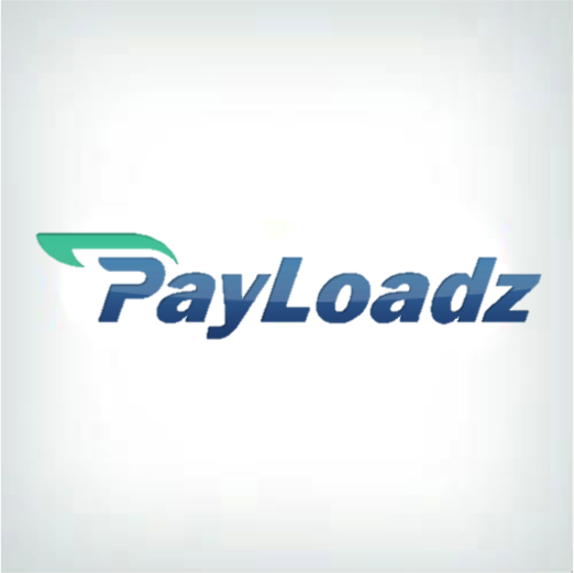  Payloadz Logo