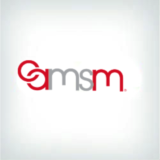  Armored Mini Storage Logo