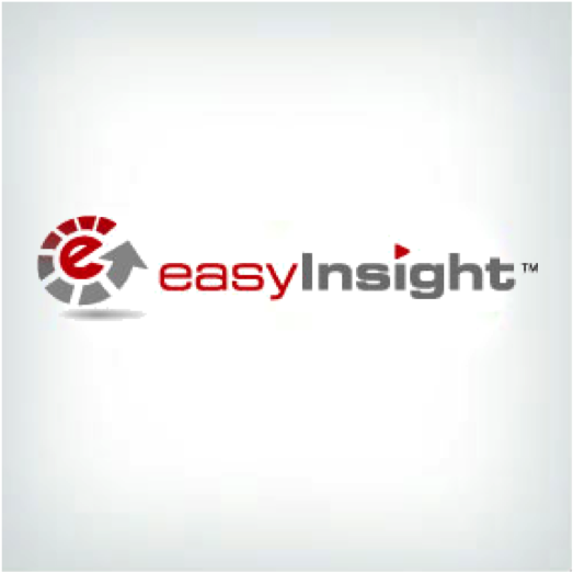 Easy Insight Logo