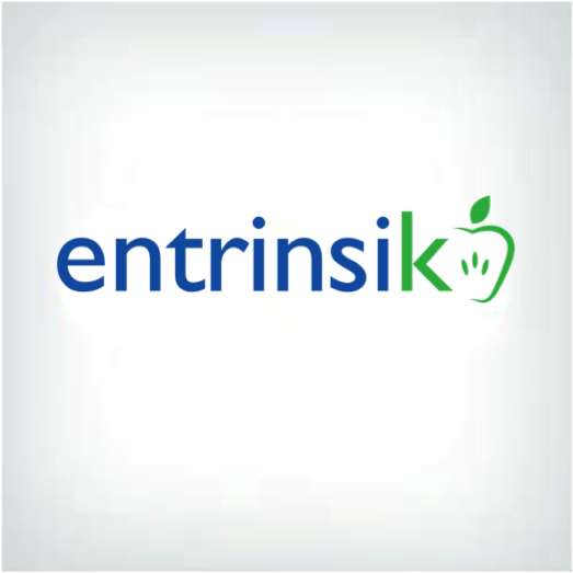 Entrinsik Informer Logo