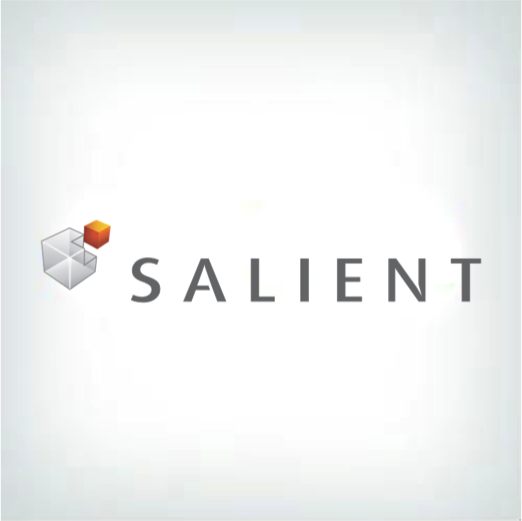 Salient Logo