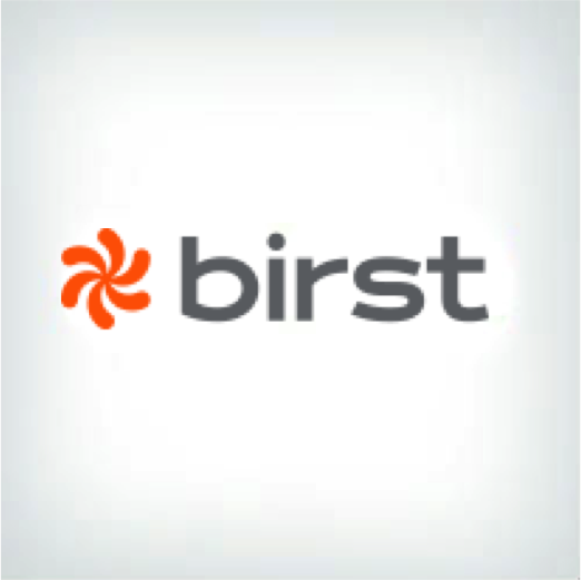 Birst Logo