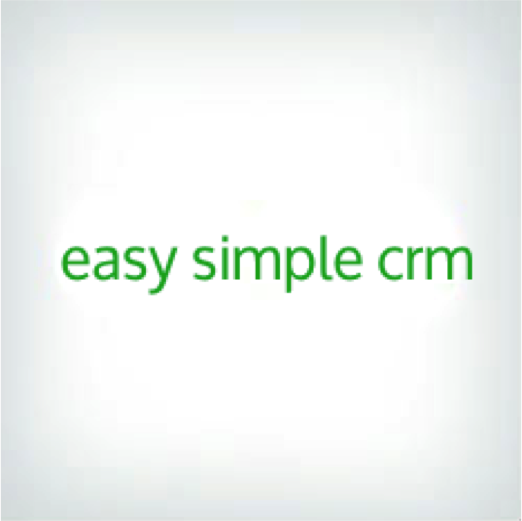Easy Simple Logo