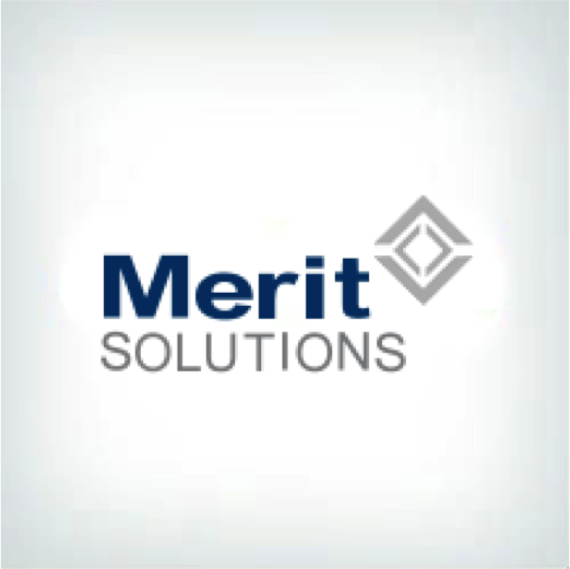Merit Solutions MAXLife ERP Logo